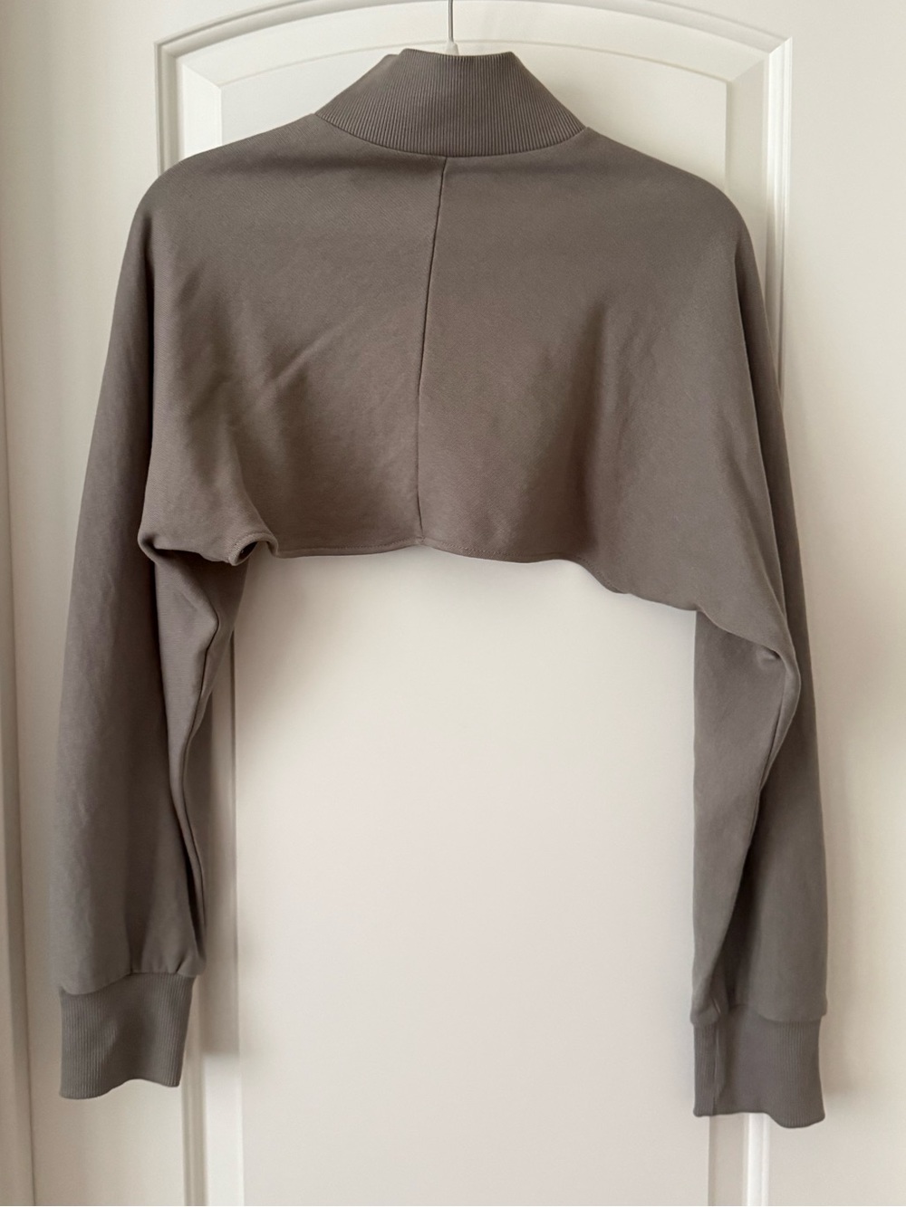 Zara Cropped Turtleneck Sweater in Taupe